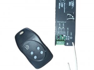 Coffret 220V 300W + Telecommande