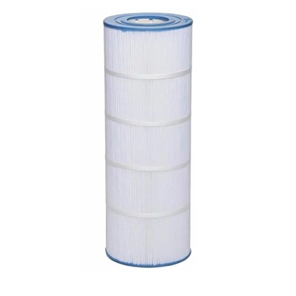 Cartouche De Remplacement Swimclear 22 M3/H