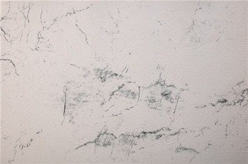 Sopremapool Sensitive Blanc  Le M2